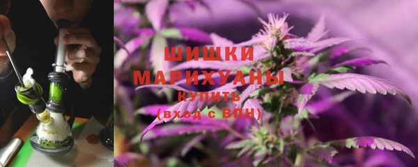 ПСИЛОЦИБИНОВЫЕ ГРИБЫ Аркадак