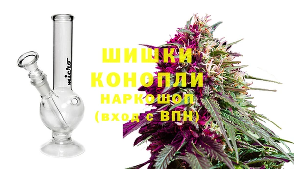ПСИЛОЦИБИНОВЫЕ ГРИБЫ Аркадак