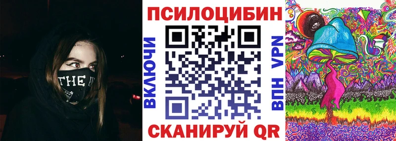 закладки  Александровское  Псилоцибиновые грибы мицелий 