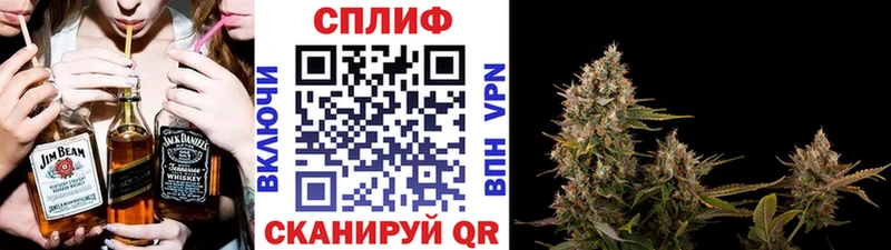 где продают   shop официальный сайт  Бошки марихуана VHQ  Александровское 
